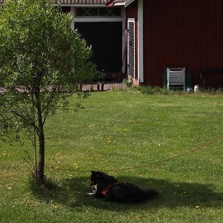 Mora Vandrarhem Och Gaesthem Vinäs Exteriér fotografie