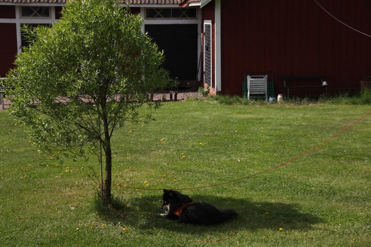 Mora Vandrarhem Och Gaesthem Vinäs Exteriér fotografie