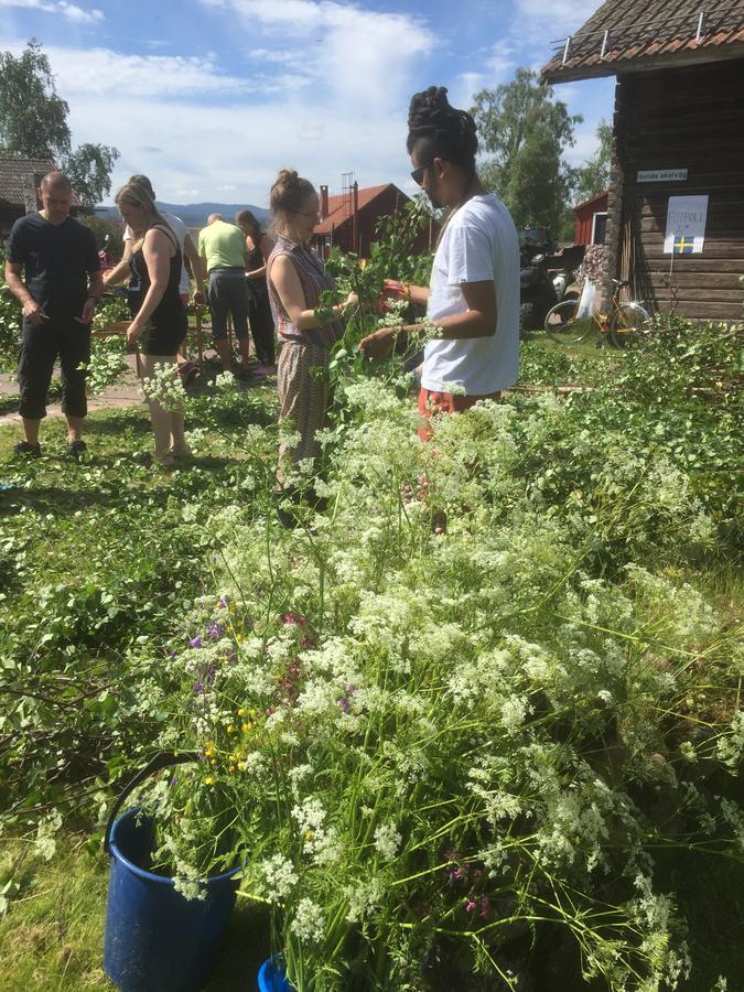 Mora Vandrarhem Och Gaesthem Vinäs Exteriér fotografie