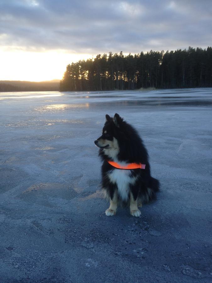 Mora Vandrarhem Och Gaesthem Vinäs Exteriér fotografie